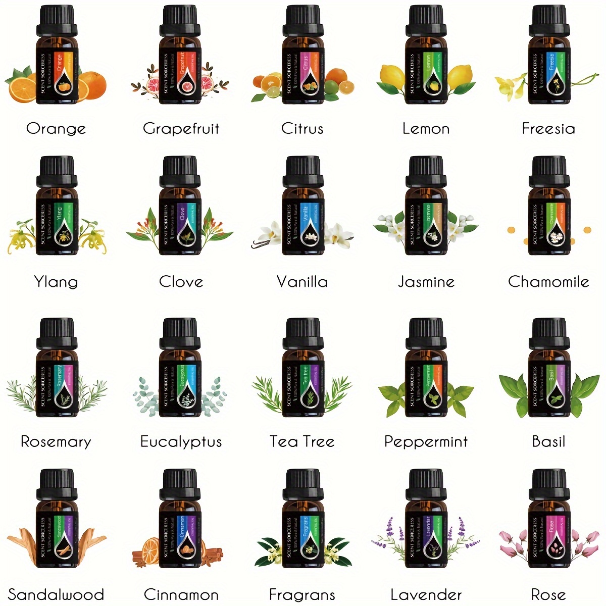 20개/세트 클래식 브랜드 에센셜 오일 세트 라벤더 유 - Perfume Fragrance Oil 리뷰 및 가격